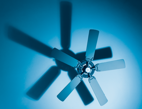 Cómo combatir la ola de calor
